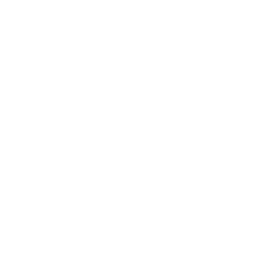 logo syneton