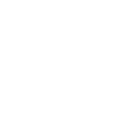 logo esedra