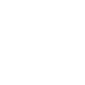 Liceo Scientifico Statale Leonardo Da Vinci Jesi
