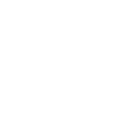 Ferri Concessionaria cliente AXOL Server