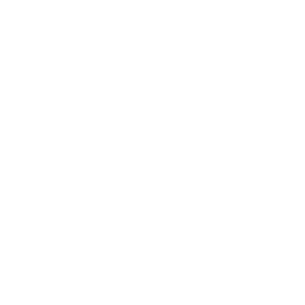 Real Comm cliente AXOL Server